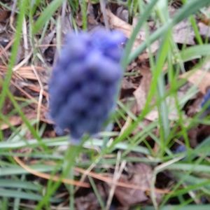 Meet your Posher, Rita